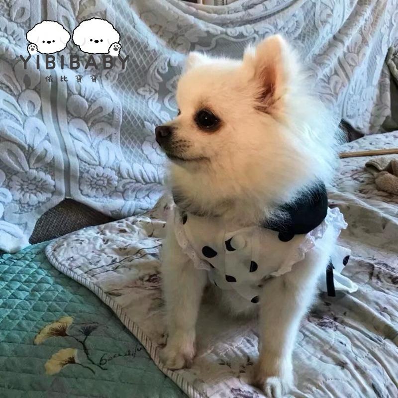 可愛波點裙寵物衣服-細節圖3