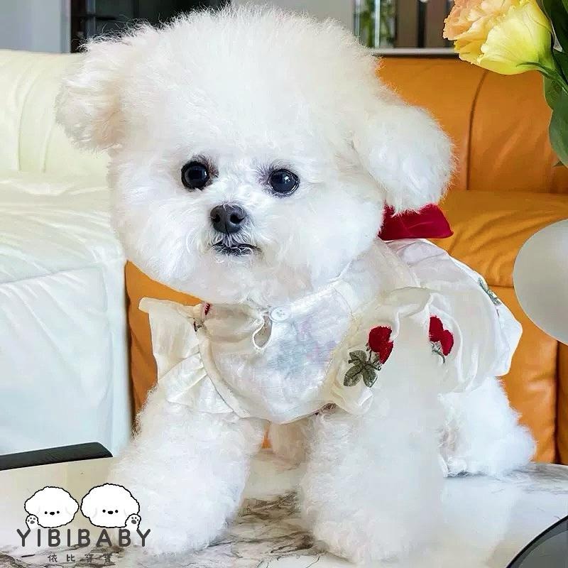 玫瑰花優雅衣-規格圖4