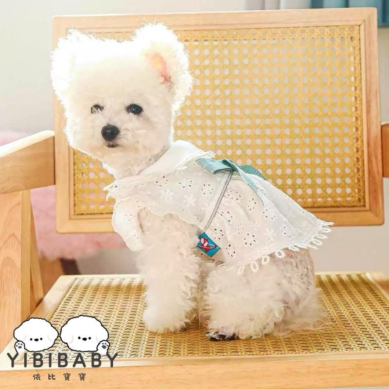 夏季薄紗衣-細節圖2