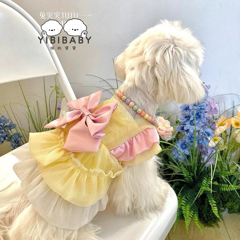 公主回家啦小禮服-細節圖2