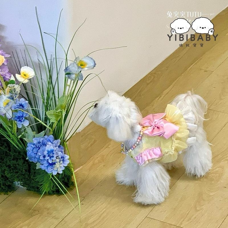 公主回家啦小禮服-細節圖3