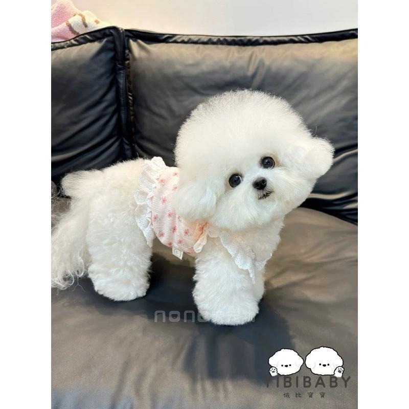 小蝴蝶結可愛日常休閒-細節圖2