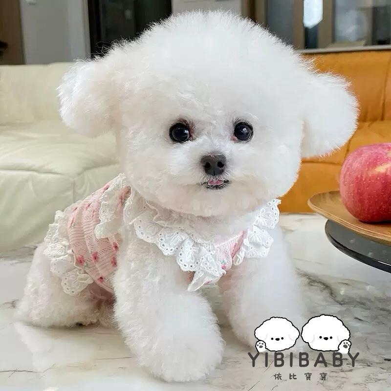 小蝴蝶結可愛日常休閒-細節圖5