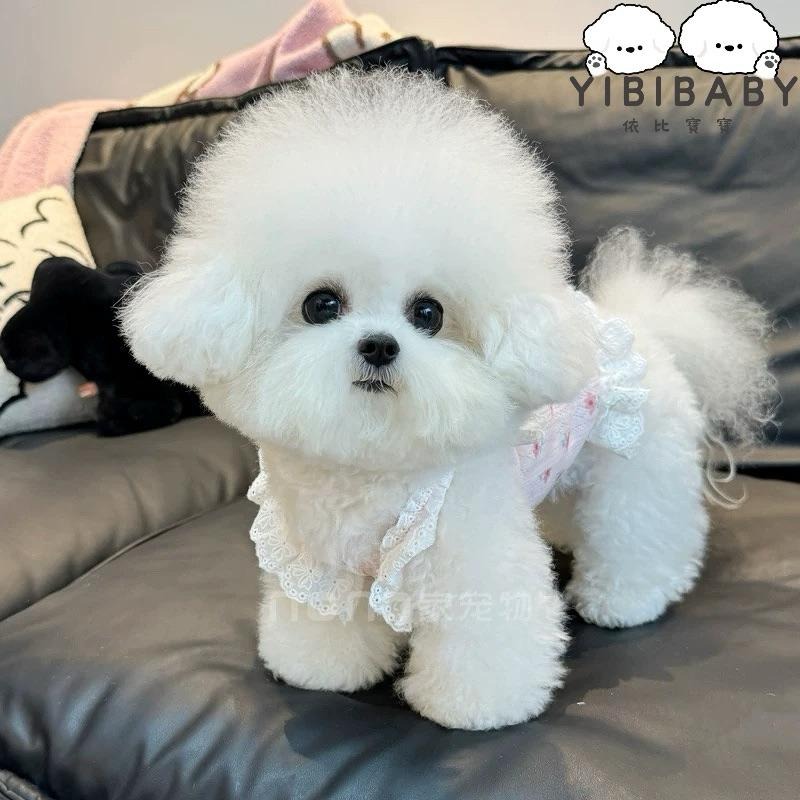 小蝴蝶結可愛日常休閒-細節圖6