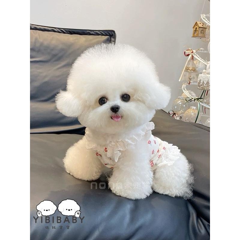 小蝴蝶結可愛日常休閒-細節圖7