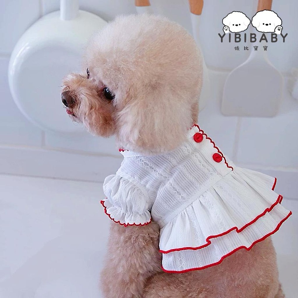 華麗極白禮服-規格圖4