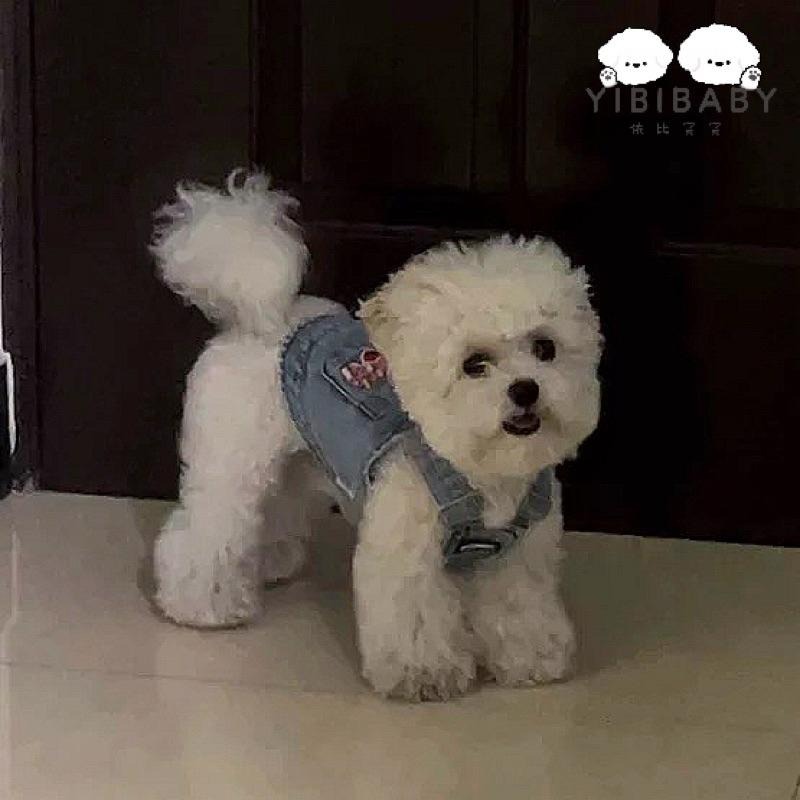 牛仔上衣豬豬鼻子-細節圖6