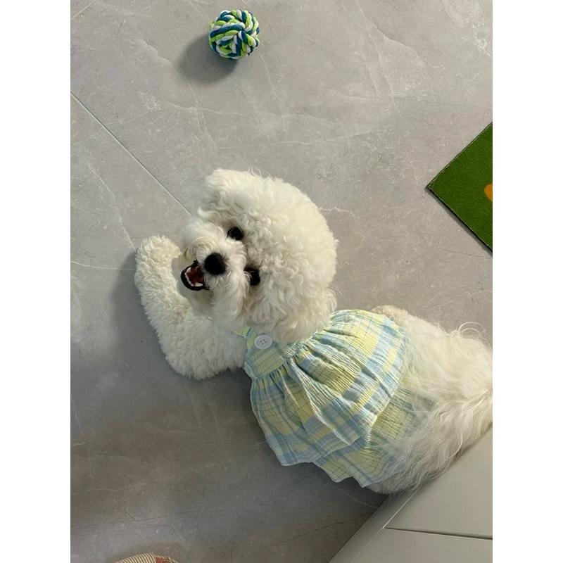 春夏小狗公主裙-細節圖6