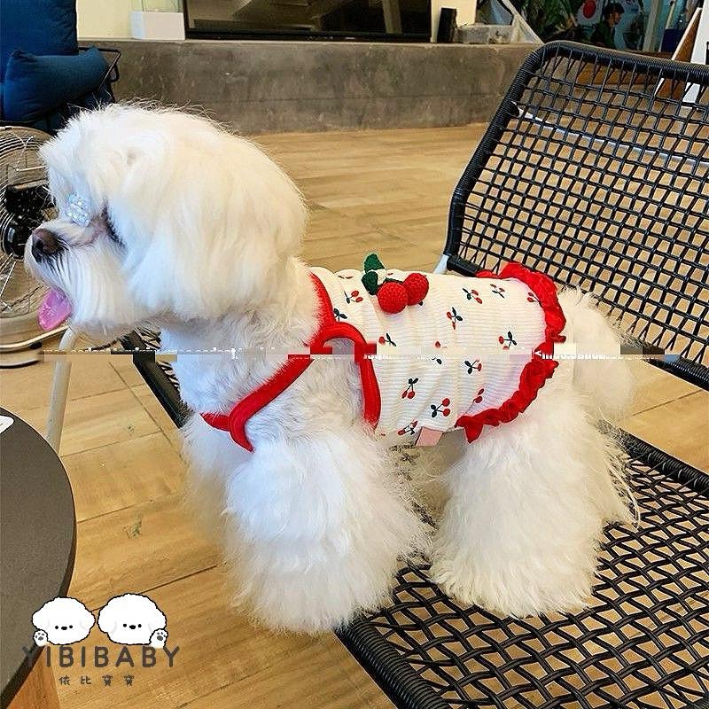 必買寵物櫻桃衣 甜甜達!-細節圖2