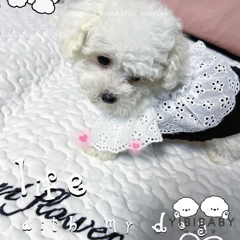 黑色優雅貴婦裙-細節圖3