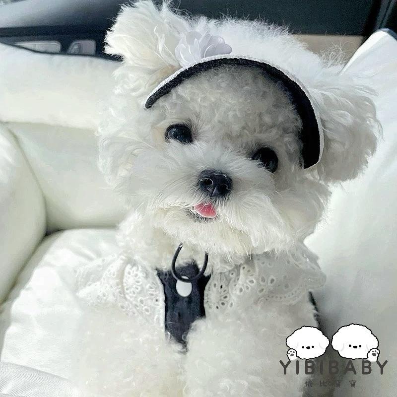 黑色優雅貴婦裙