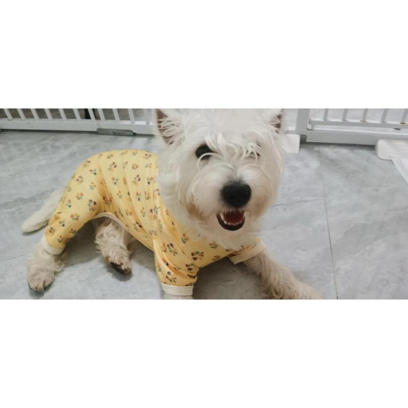 寵物舒適四腳睡衣-細節圖3