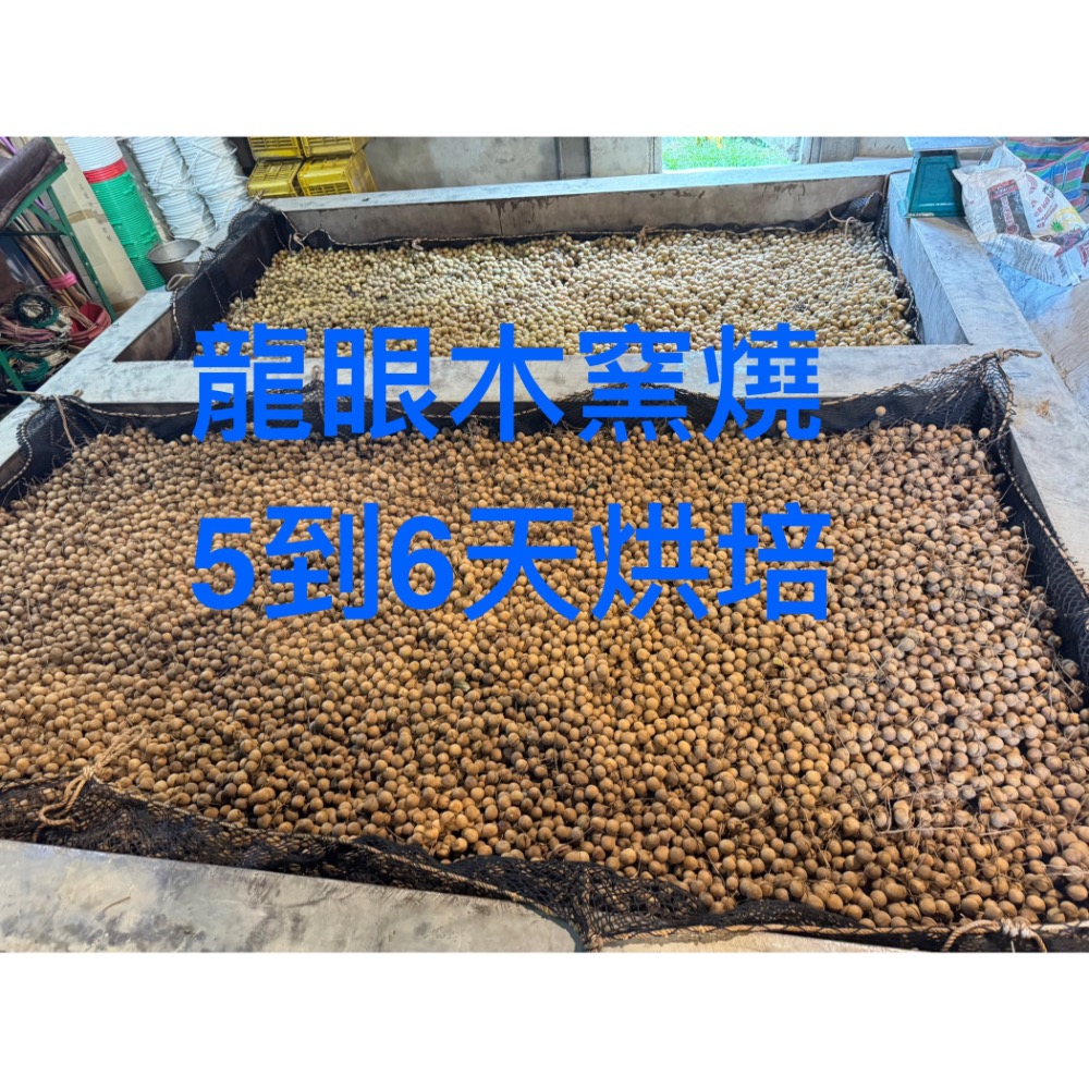 【台南東山產地認證】平安咖啡果園2025年龍眼乾｜古法龍眼木柴燒 5~6天慢火烘焙｜帶殻龍眼乾｜龍眼肉｜最佳拌手禮-細節圖4