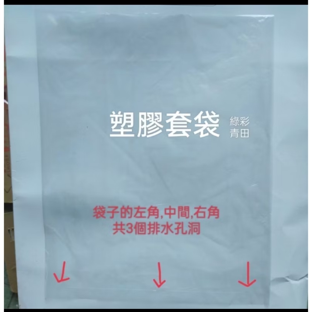 200組縮小口芭樂保麗龍+芭樂套袋-細節圖2