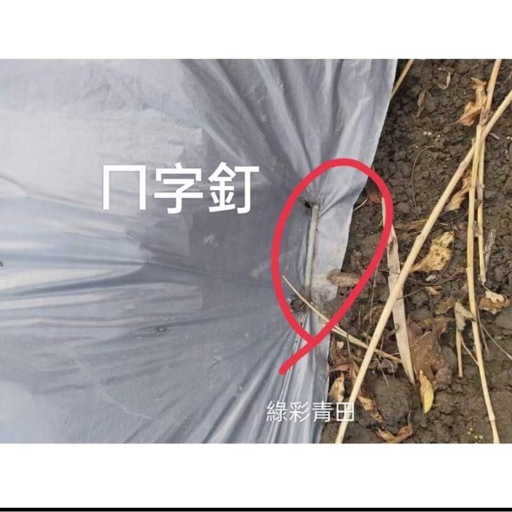 銀黑布( 寬3尺、4尺＊長10米) (種草苺苗可搭配種植用)ㄇ字釘-細節圖4