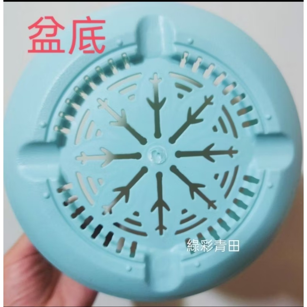 全新PP材質花盆 塑膠盆 塑膠花盆 小花盆 大花盆 綠彩青田-細節圖2