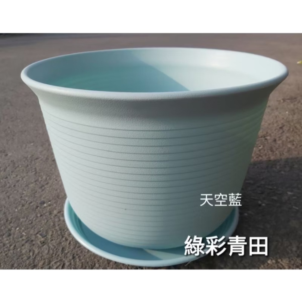 全新PP材質花盆 塑膠盆 塑膠花盆 小花盆 大花盆 綠彩青田-細節圖3