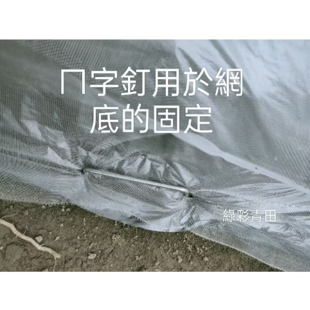 （快速出貨）100*100*100小網罩陽台網罩 簡易網室 40目白色-細節圖4