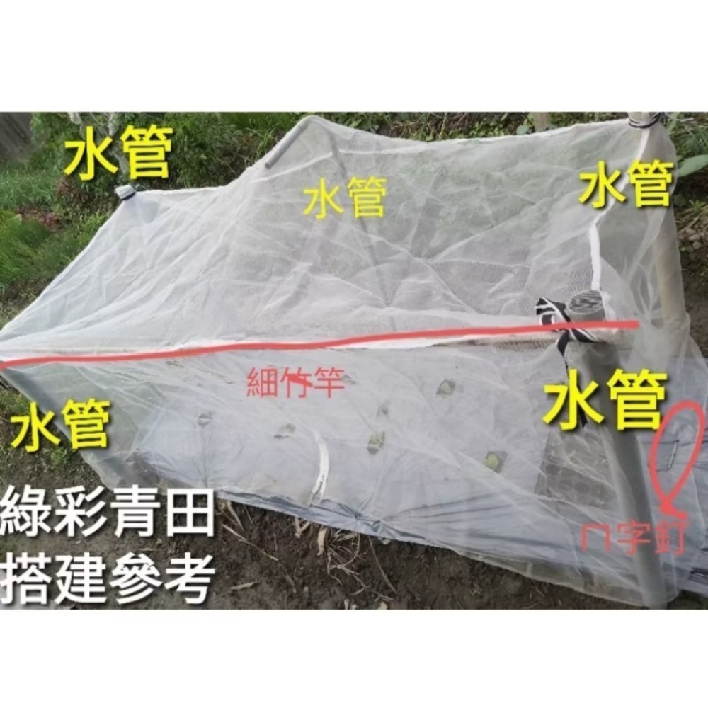 種菜好幫手特價》長200寬100高100草莓苗網罩高麗菜網室蔬菜網室防蟲網防鳥網40目（沒有賣32目）-細節圖3