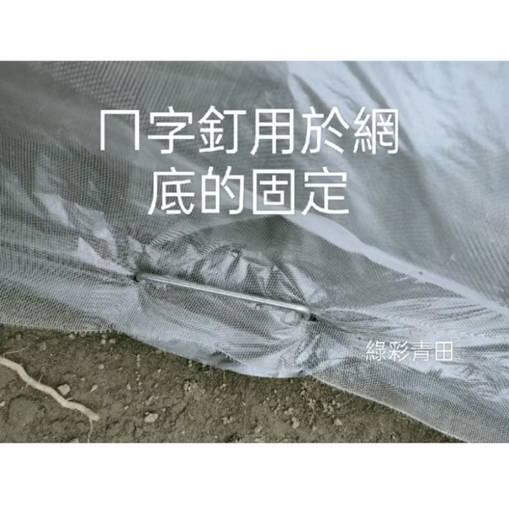 種菜好幫手特價》長200寬100高100草莓苗網罩高麗菜網室蔬菜網室防蟲網防鳥網40目（沒有賣32目）-細節圖4