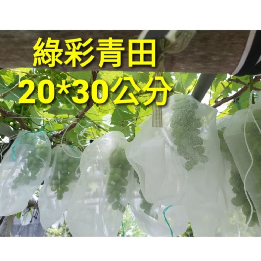 可刷洗）超密尼龍網袋防蟲網袋 :絲瓜套袋苦瓜套袋絲瓜網袋苦瓜網袋無花果網絲瓜網苦瓜網芒果網套袋蓮霧套袋水果套袋水果網袋-細節圖2