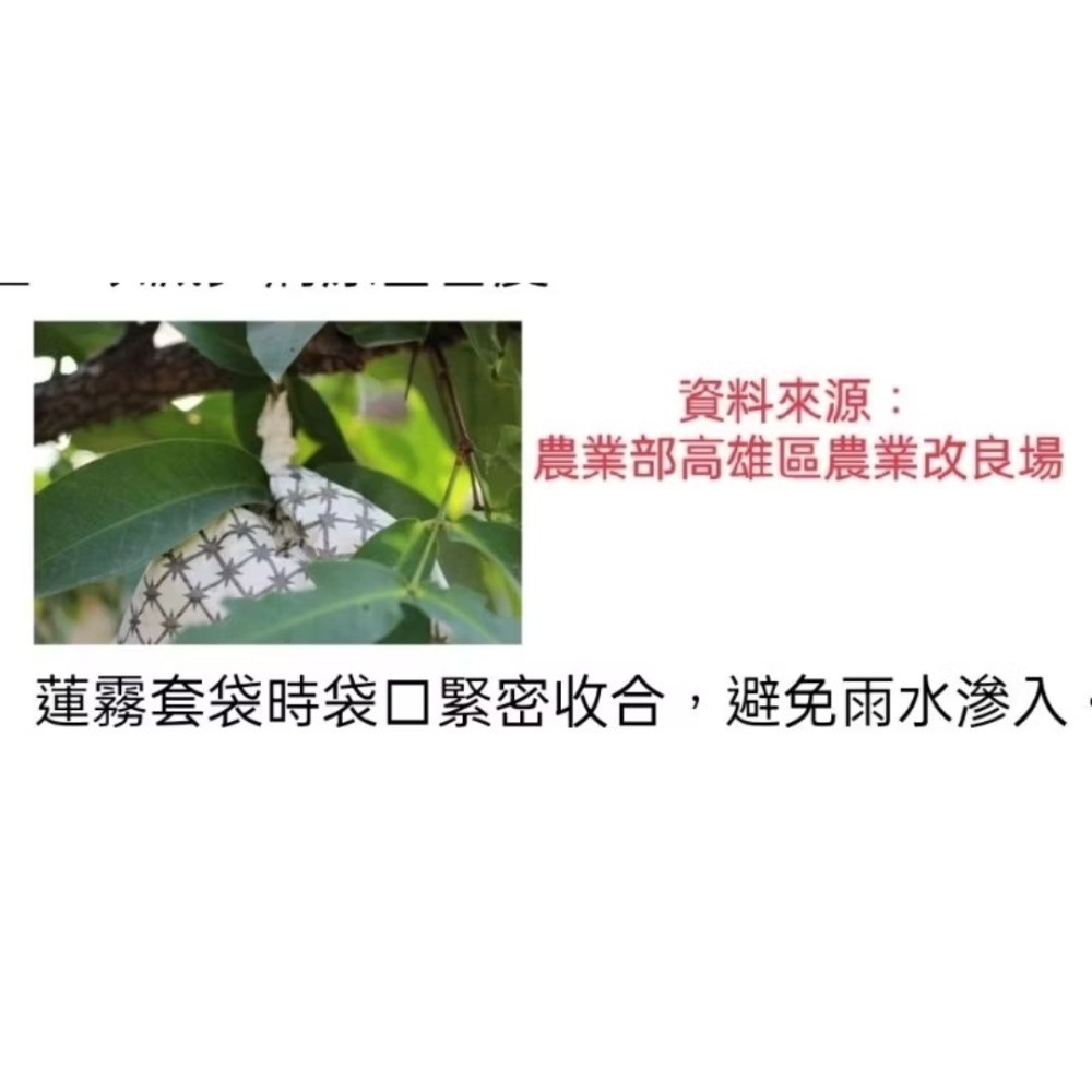 100入（油性）掀窗式佳園蓮霧套袋蓮霧紙袋水果套袋32.5*37.5公分-細節圖6