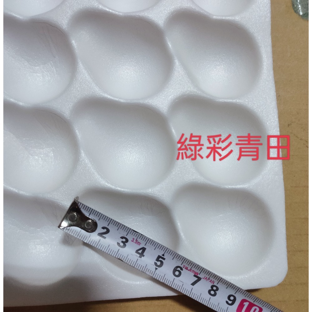 底盤泡棉未打洞：15洞草苺盒 草苺包裝盒  草苺盒子-細節圖2