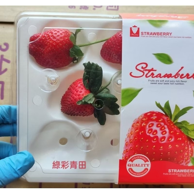 11洞 草苺盒 草苺包裝盒  草苺盒子-細節圖3