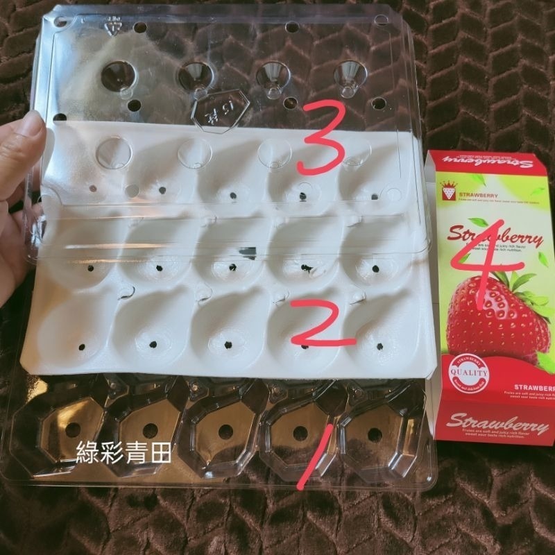 15洞草苺盒 草苺包裝盒  草苺盒子-細節圖2