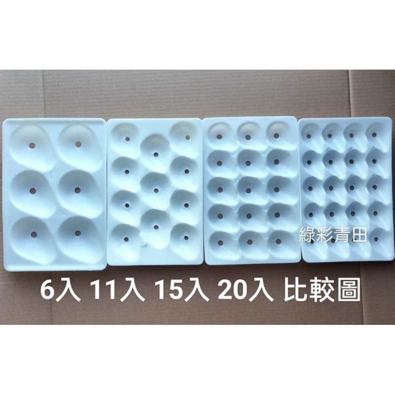 15洞草苺盒 草苺包裝盒  草苺盒子-細節圖4