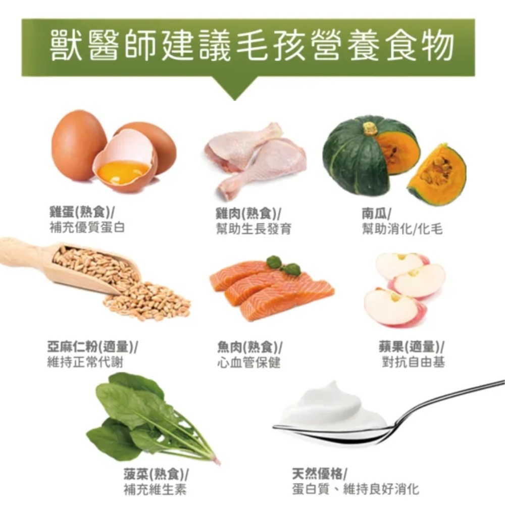 貓用12合1超能維他命 90顆(貓保健品)(軟錠型)-細節圖3