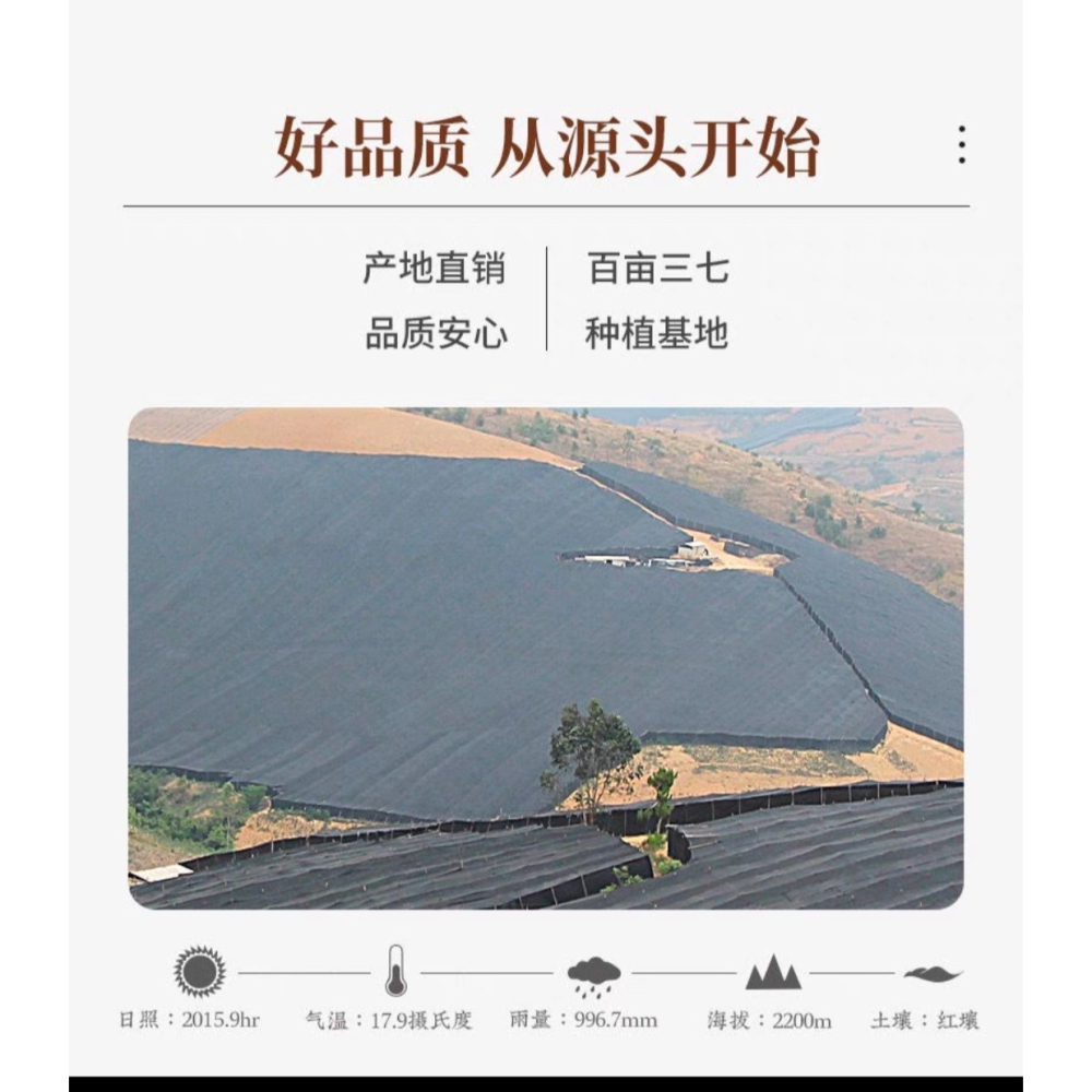 雲南文山正宗純三七粉，特级12頭田七粉，特级野生超細粉，功效罐装250g。-細節圖7