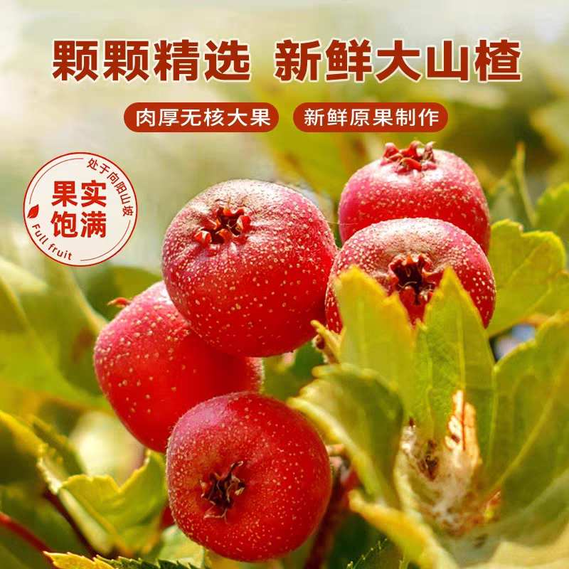 空心山楂果脯，無核蜜餞零食，獨立包装休閑食品，新鮮小包装好吃消食。-細節圖2