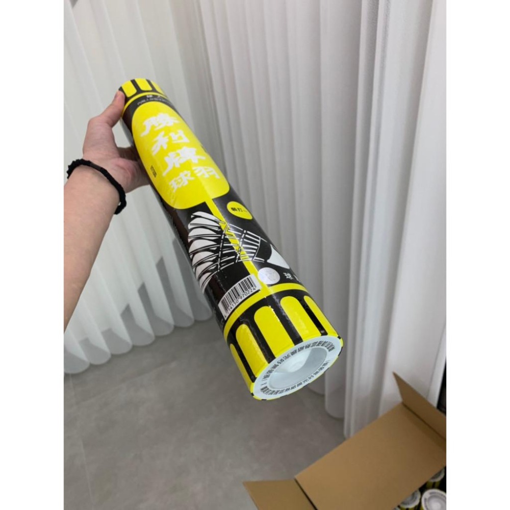 【Aceplay艾斯沛體育】VICTOR 勝利 B-01 比賽級羽毛球 黃標 白蓋-細節圖2