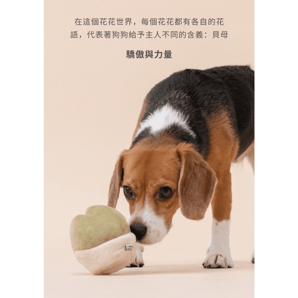 全新完整包裝！貝母綠【PEHOM花花世界系列玩具 】啾啾發聲器、藏食口袋、絨毛玩具 原價$290/單個-細節圖4