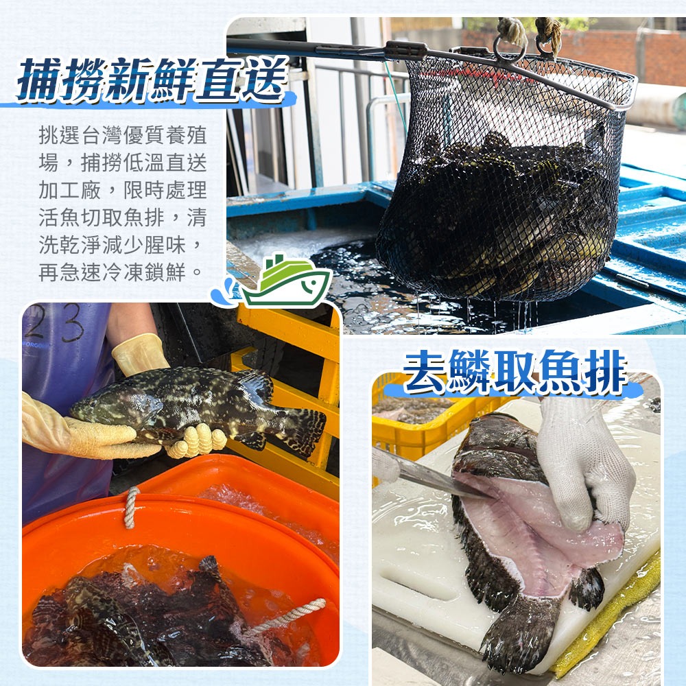 【彈嫩富含膠質】台灣龍虎斑魚排-細節圖4