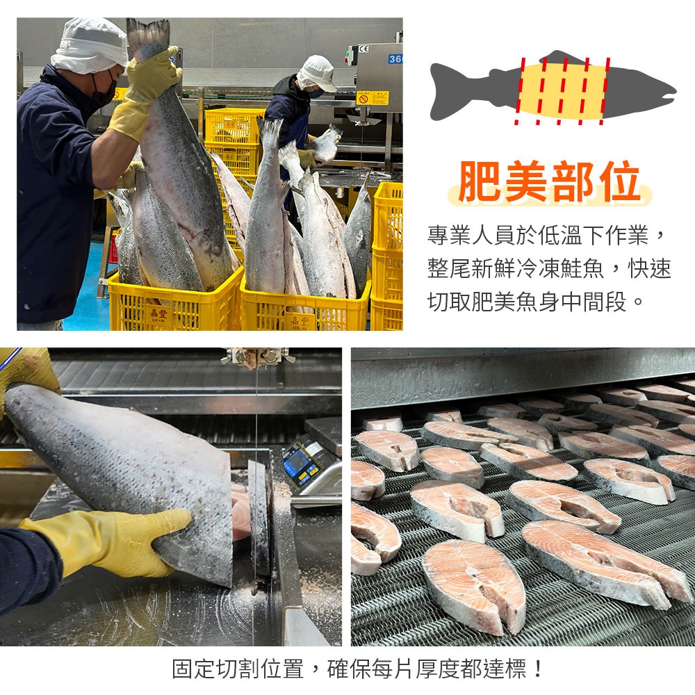 【台灣人最愛魚】智利鮭魚厚切片-細節圖4