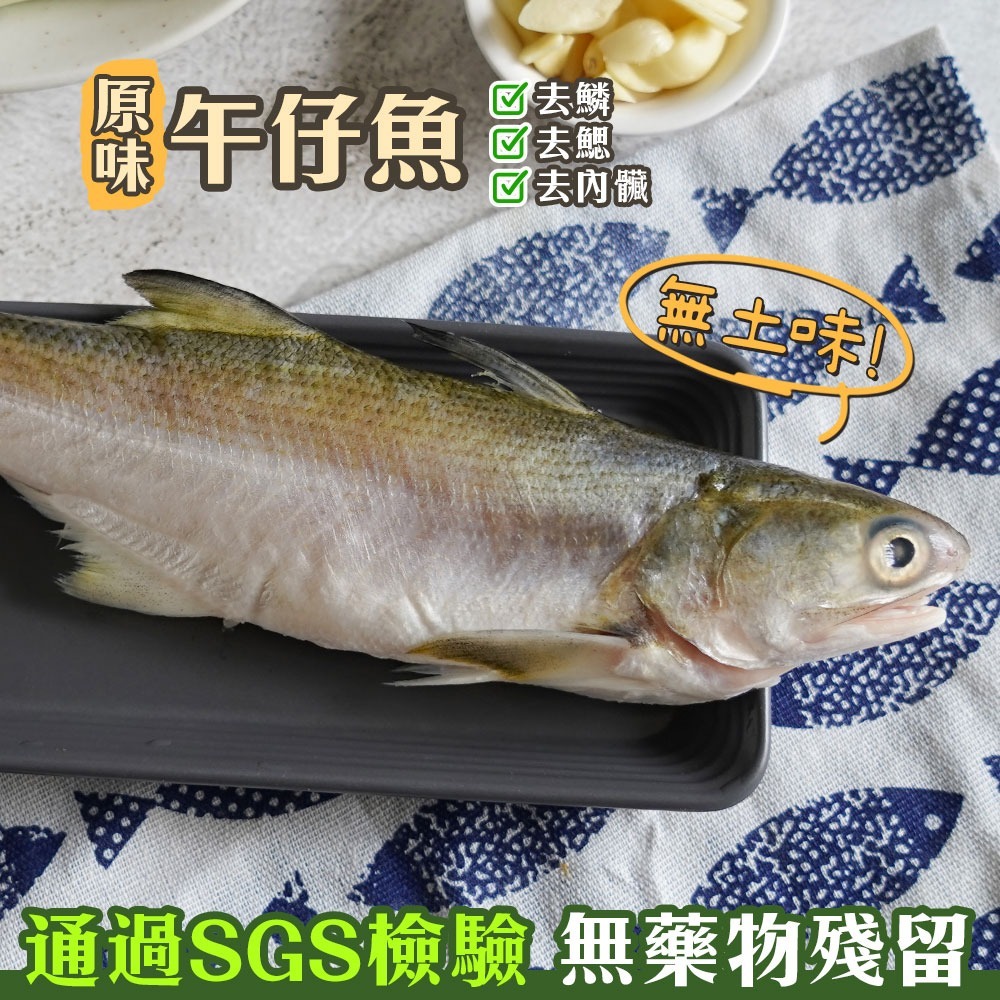 【無藥殘無土味】台灣原味午仔魚 (三去)｜午魚｜第一名好吃國產魚-細節圖2