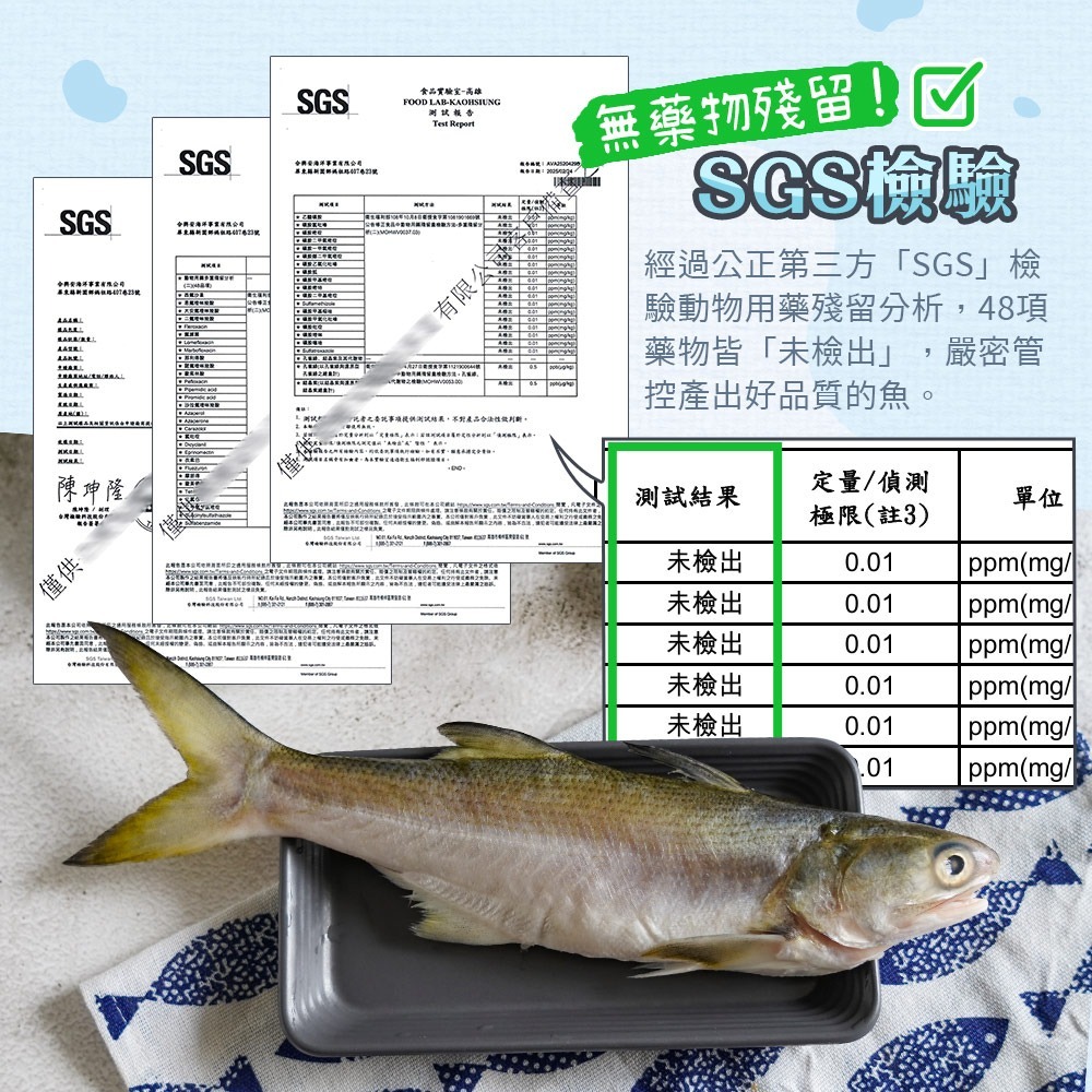 【無藥殘無土味】台灣原味午仔魚 (三去)｜午魚｜第一名好吃國產魚-細節圖5