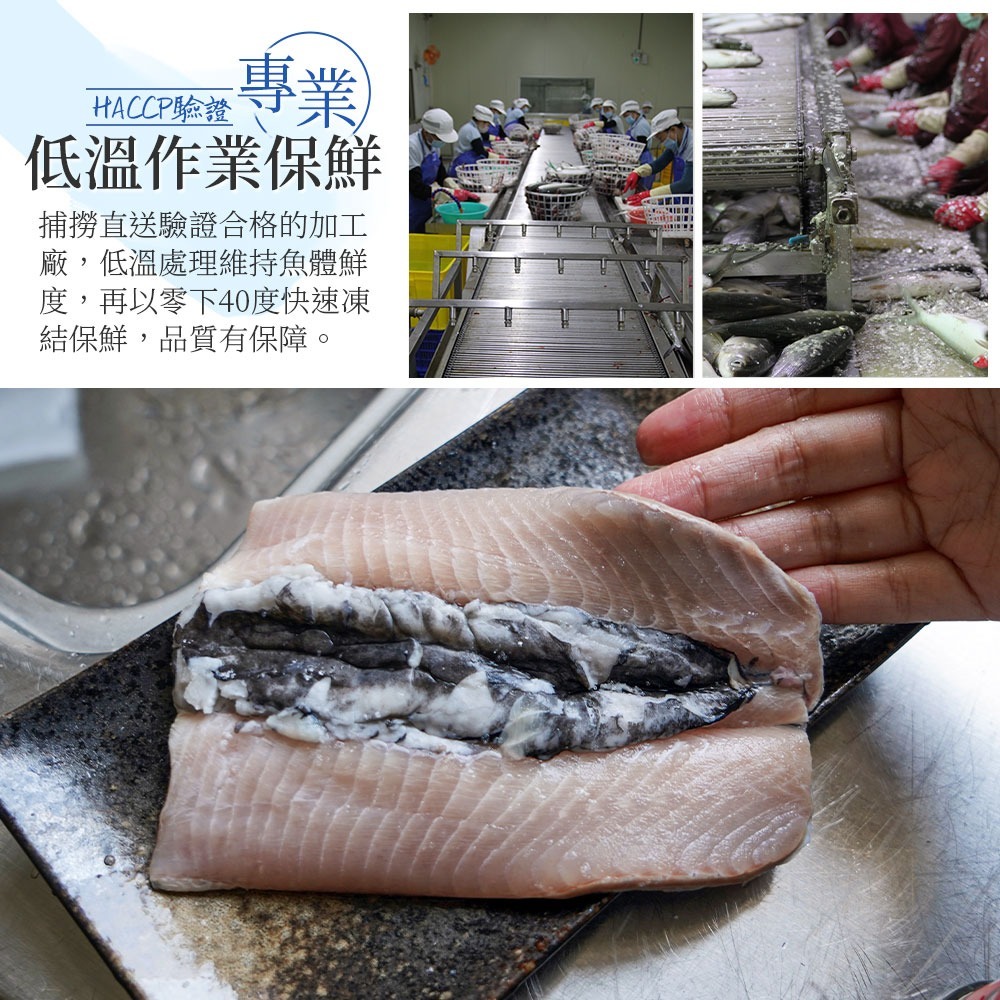 【豐富油脂肉鮮嫩】台灣奶香虱目魚肚-細節圖4
