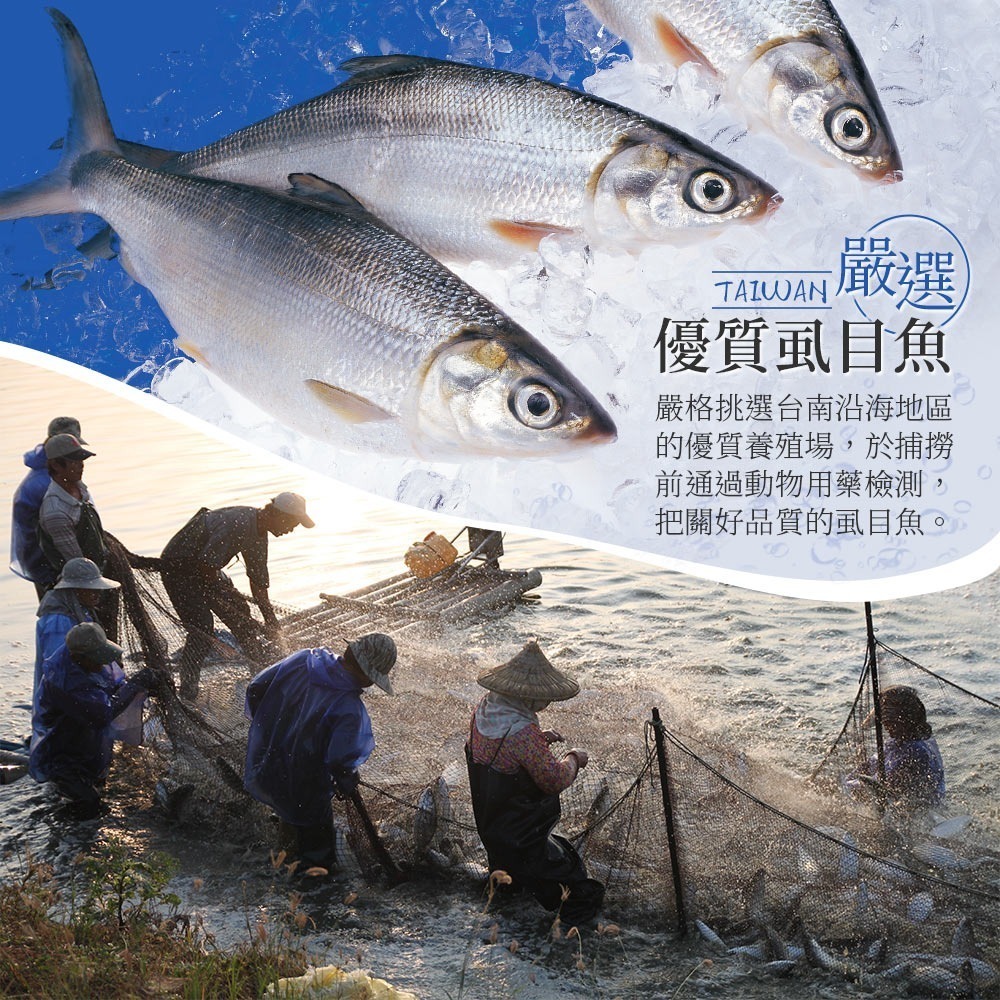 【高蛋白低脂無刺大口吃】台灣奶香虱目魚柳-細節圖3