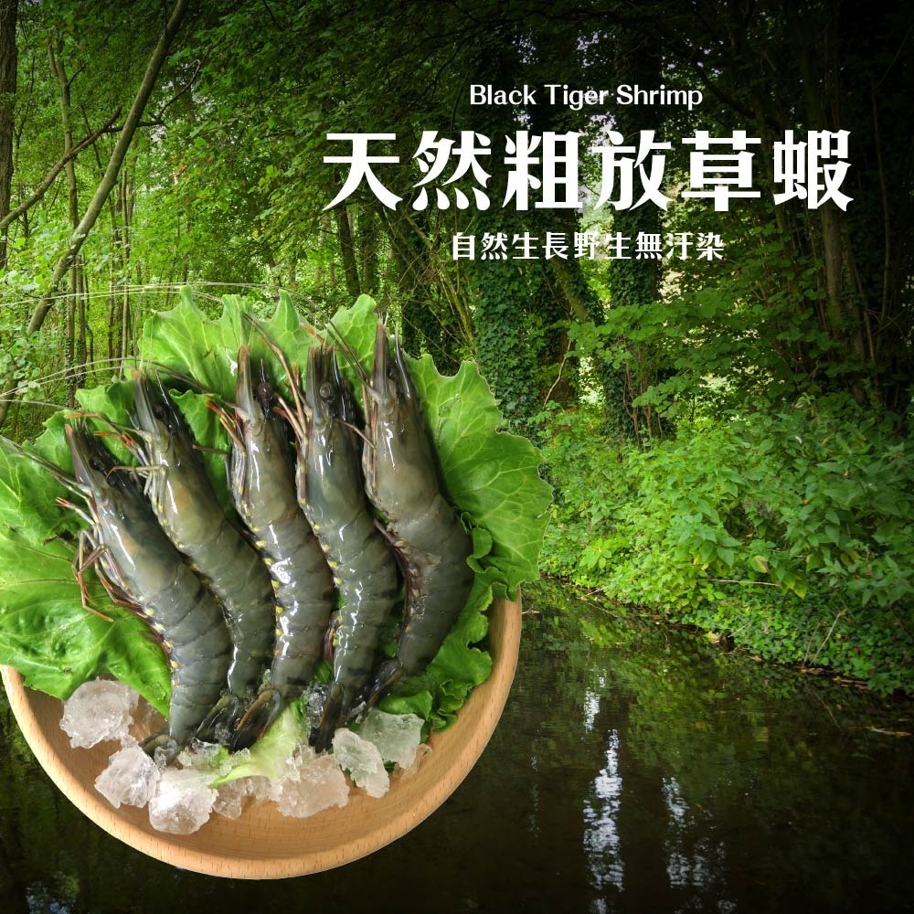 【鮮甜Q彈好吃蝦蝦】急凍草蝦6尾入-細節圖2