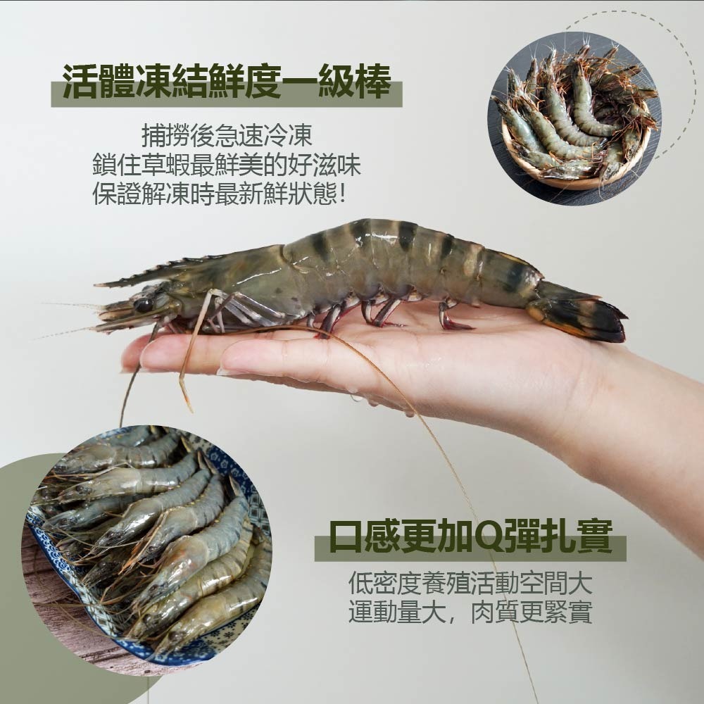 【鮮甜Q彈好吃蝦蝦】急凍草蝦6尾入-細節圖4