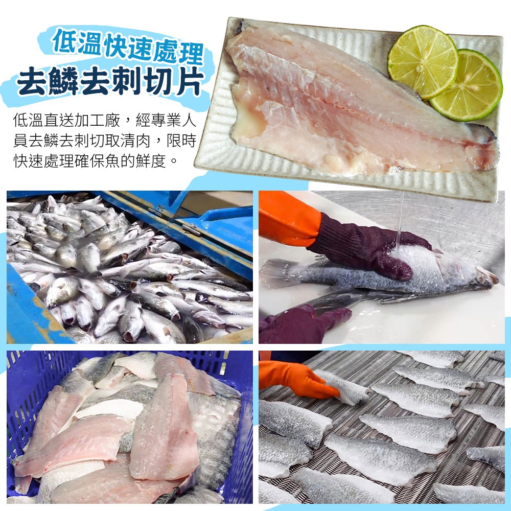 【滋補強身開刀魚】台灣金目鱸魚片-細節圖4
