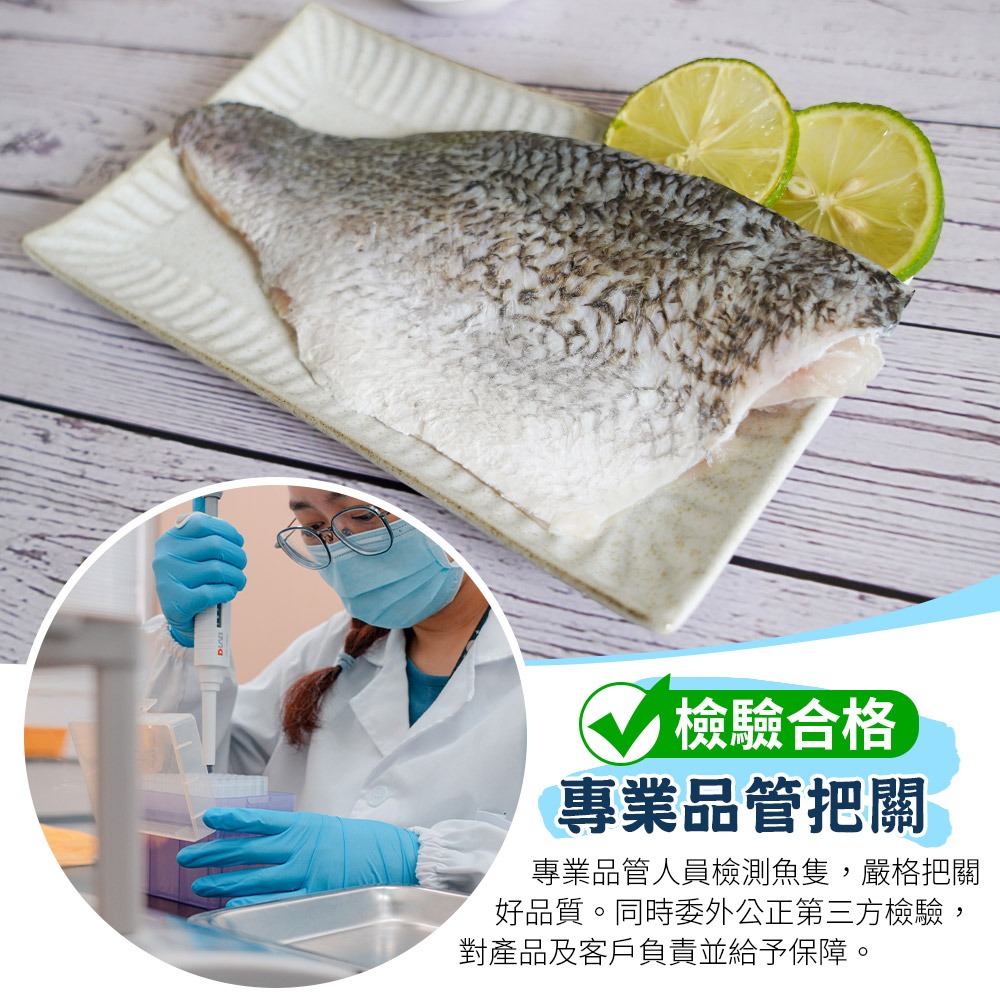 【滋補強身開刀魚】台灣金目鱸魚片-細節圖6