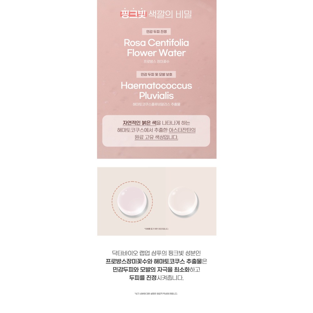 韓國製Dr.Bio 普羅旺斯玫瑰/益生菌溫和柔順洗髮乳750mL-細節圖6