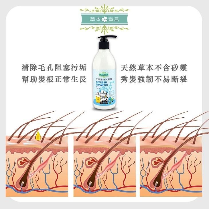 草本宣言 艾草淨身洗髮露350ml /草本宣言艾草淨身沐浴露350ml 輕鬆去除皮脂污垢與穢氣-細節圖6