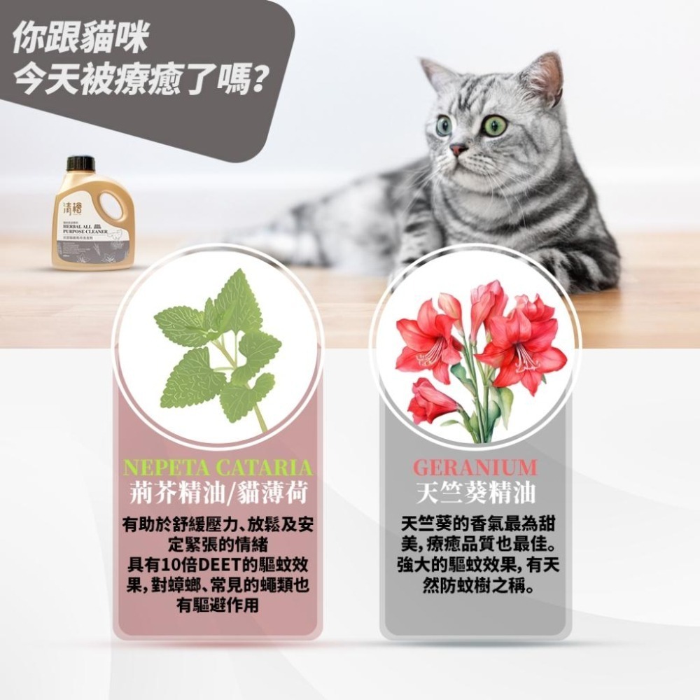 清檜 Hinoki Life 抗菌驅離萬用清潔劑 (貓咪、狗狗家庭專用)600ml - 隔日到貨--細節圖7