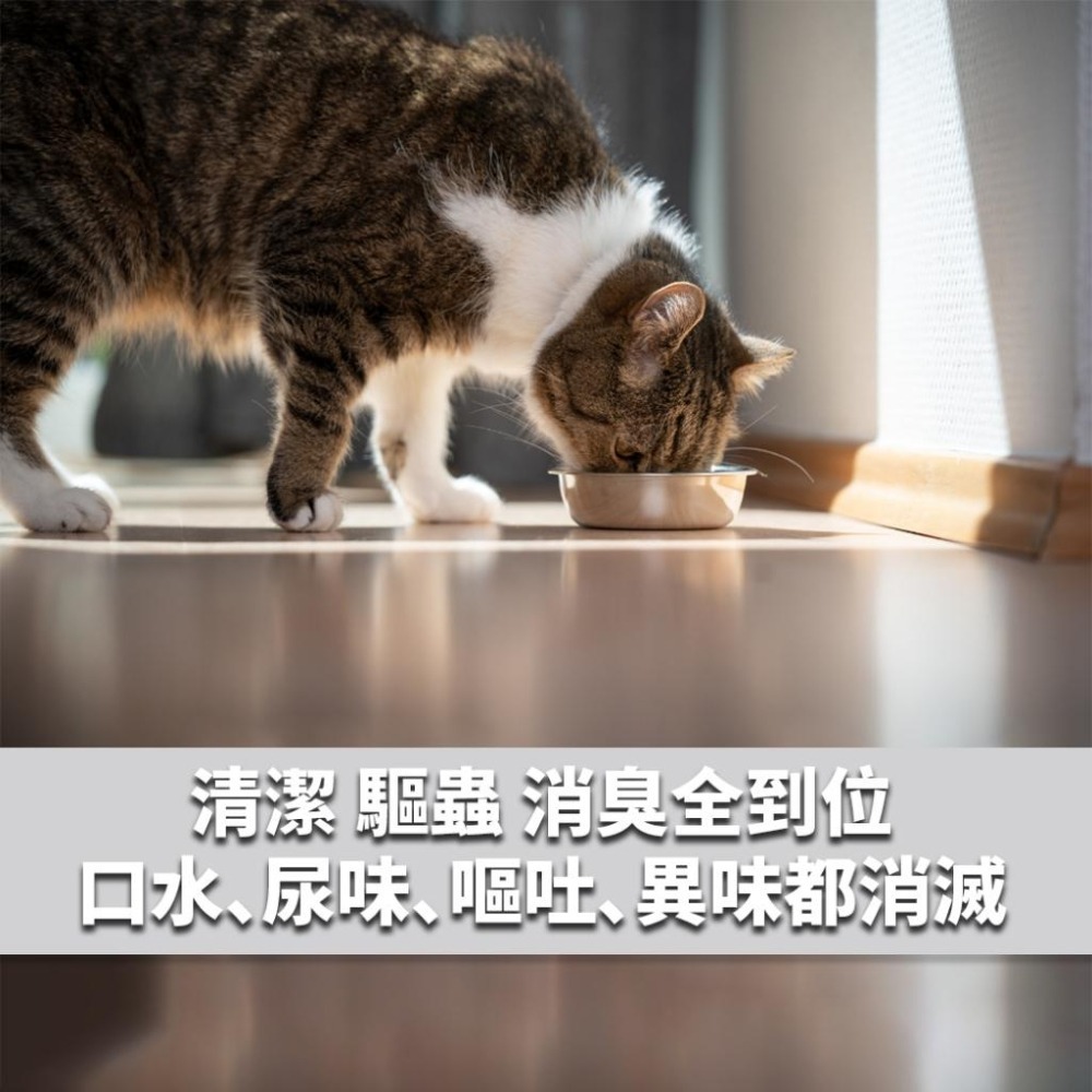 清檜 Hinoki Life 抗菌驅離萬用清潔劑 (貓咪、狗狗家庭專用)600ml - 隔日到貨--細節圖8