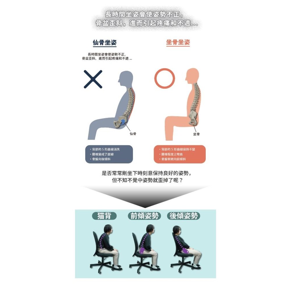 日本 bodysprout GUIN-SEAT 樂樂座 健康整骨 雙面用 小林-細節圖8